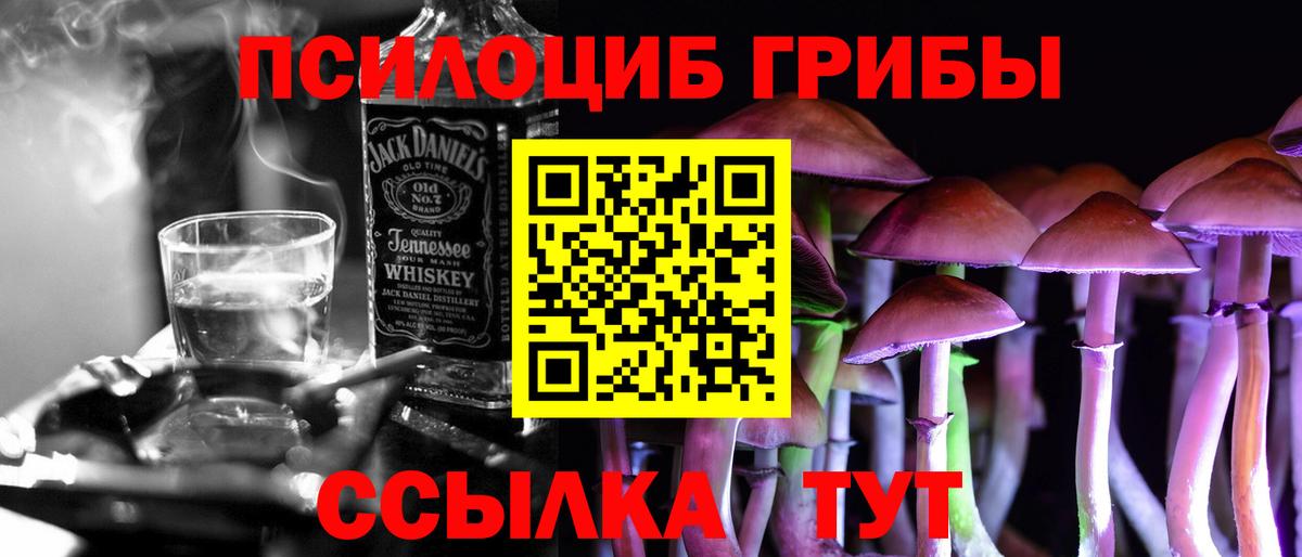 Галлюциногенные грибы Psilocybine cubensis  Вход с VPN  Галлюциногенные грибы прущие грибы  Гатчина 